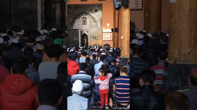 Super cute Kashmiri kid during prayer