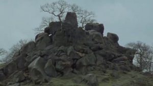 Шерлок Холмс. 19. Случай в интернате.