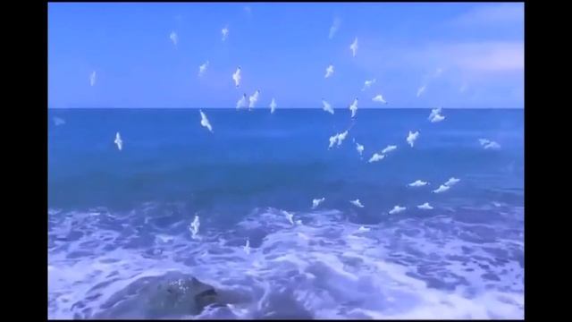 Ветер с моря дул  Натали / Саксофонистка Валерия Котельникова (кавер)