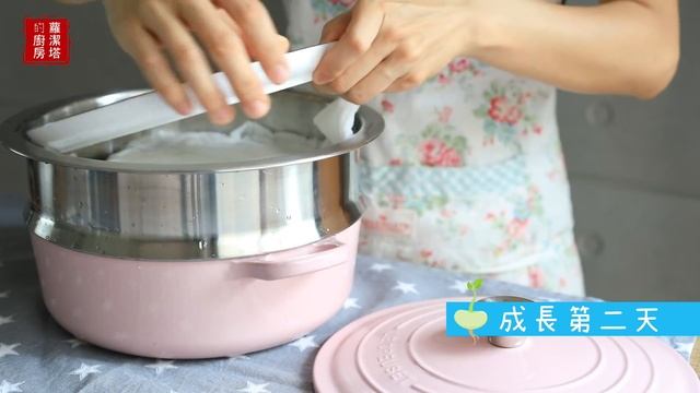療癒～豆芽成長日記，所有細節一次告訴你！ 孵豆芽/ 種豆芽/ 發綠豆芽 Grow Mung Bean Sprouts [Eng Sub]