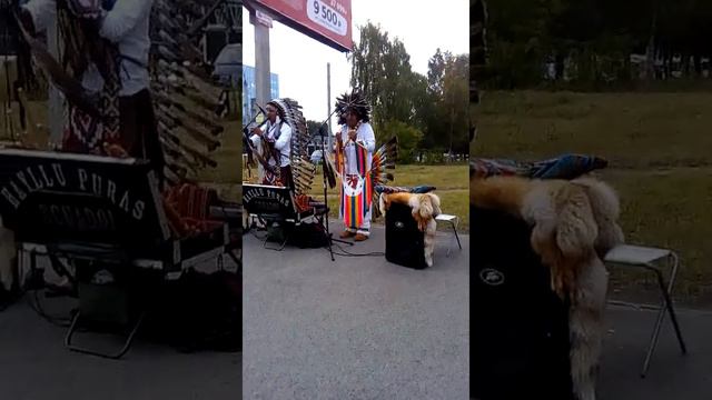 Красивая мелодия смотреть онлайн