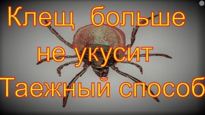 Энцефалитный Клещ больше не укусит Дедовский способ от клещей