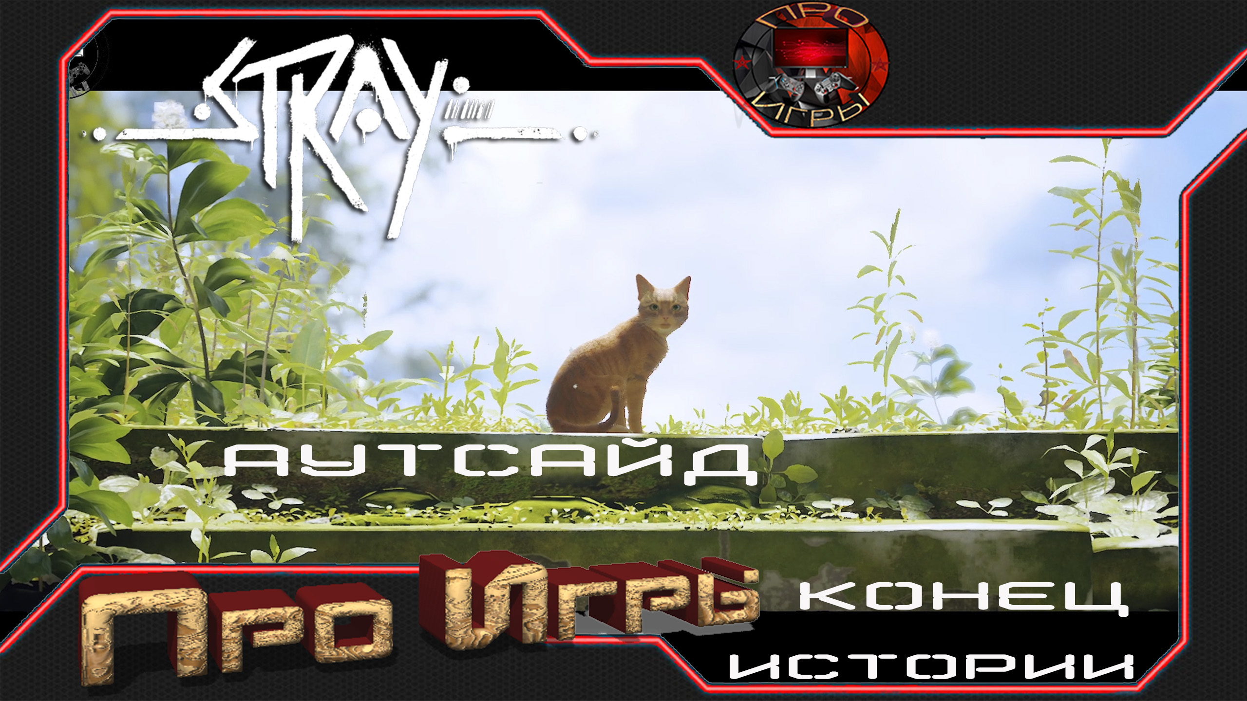 рыжий кот games гта 5 фото 110