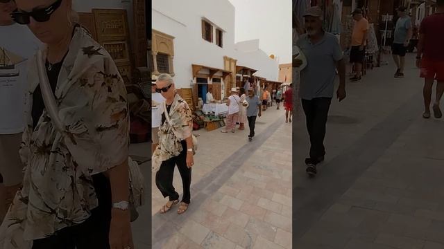 Blue & White Houses and Streets | Kasbah of the Udayas in Rabat