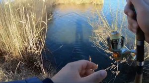 Рыбалка на Кубани.В поисках хищника.Ловля щуки.Рыбалка в январе