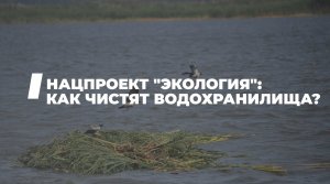 От берега до дна: национальная уборка водохранилищ