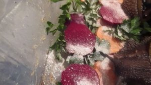 улитки ахатина ахатина тигр стандарт