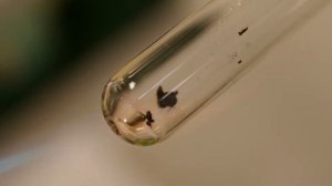 Разложение оксида серебра / Decomposition of silver oxide