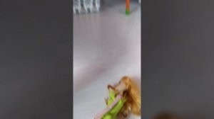 почему подруга не отвечает на звонки?????странно??????