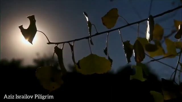 Помню, скучаю, люблю.. смотреть онлайн