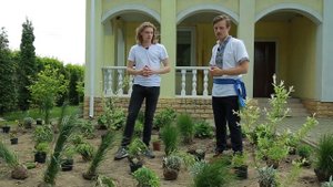 ЛАНДШАФТНЫЙ ДИЗАЙН: КЛУМБА В ПРИРОДНОМ СТИЛЕ