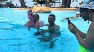 VLOG | Зимовка в Тайланде 2024 🌴 Паттайя 🌴 кондо Unixx 🏙️ Парк Нонг Нуч 🌸