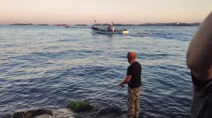 Скумбрия! Сарган! Море!
