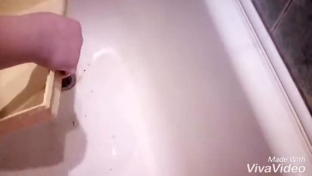 Уборка в клетке джунгарика!/ Джунгарский хомяк смотреть онлайн