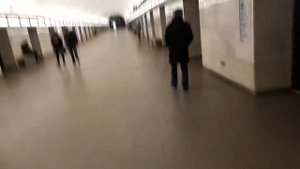 Питер метро Елизаровская обзор