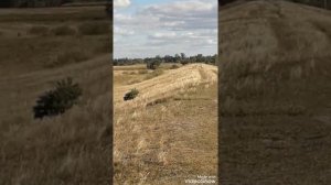 коли ти в армію ідеш, то не кохай дівчину 🇺🇦 💙💛