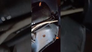ставимо лед фару на скутер Honda Tact AF 16?