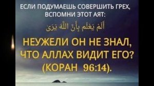 .исламские цитаты