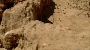 САМЫЕ СТРАШНЫЕ И ШОКИРУЮЩИЕ НАХОДКИ В МИРЕ. ТОП 5 ужасающих находок.