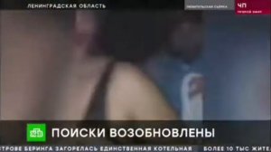 Нашли тело утоновшей Анны Тупоршины в деревне Выра Район Гатчинский  #утонула#крещение#новости