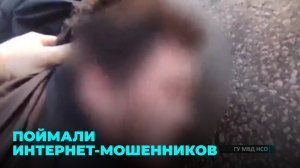 Наживались на сдаче квартир и продаже машин: интернет-мошенники пойманы