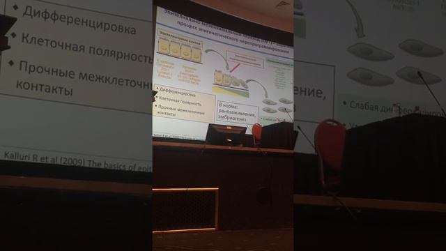 Развитие онкологического процесса смотреть онлайн