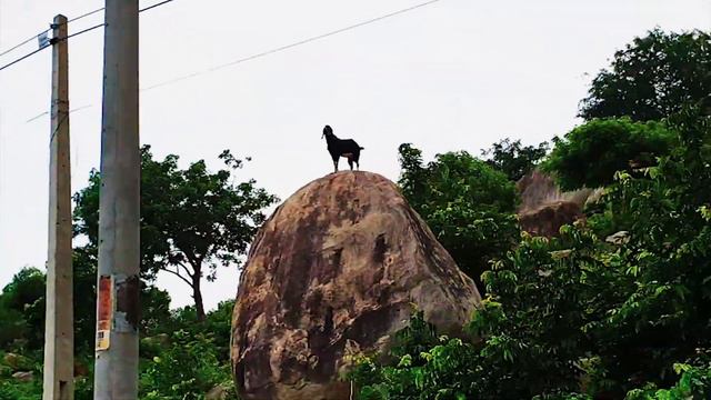Вьетнам, 2019 смотреть онлайн