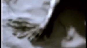 Nalin & Kane   Beachball Original Video 1997