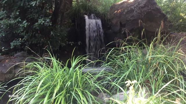 Вдохновляюще Красивая МУЗЫКА и Водопады Воронцовского Парка в Крыму! смотреть онлайн