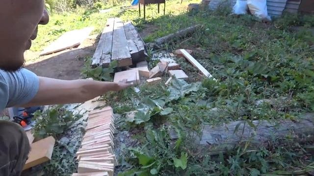 ПОСЛЕДНИЙ УРОЖАЙ / КИТАЙСКИЙ ЛИМОННИК / АККУМУЛЯТОРНАЯ ЦИРКУЛЯРНАЯ ПИЛА FTL FOXWELD / СТОЛЫЧ ДАЧА