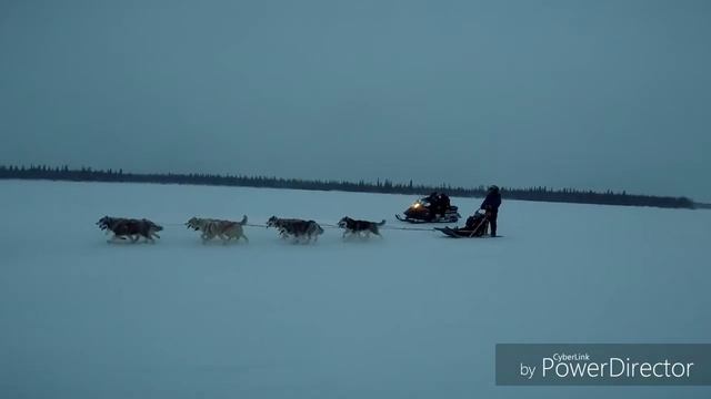 #Мурманск #СеверноеСияние Хаски, сненоходы, Ловозеро. смотреть онлайн