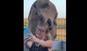 Смешные приколы Март 2023 #141