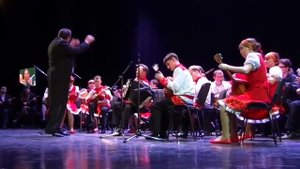 Оркестр русских народных инструментов «Калинка» г. Москва