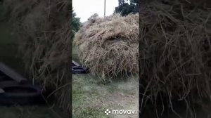 Самодельный минитрактор без ремней в работе