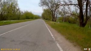 04_05_2019_ВОРОБЕЙ АЛЬБИНОС_СТАВРОПОЛЬЕ_село ГОФИЦКОЕ.mp4