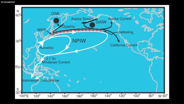 Do you know all about Pacific Ocean? The largest Ocean in the world. #documentary #ocean #DeepSea смотреть онлайн