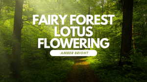 Музыка для сна и медитации "Fairy Forest Lotus Flowering" by Amber Bright