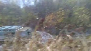 Новый проект вездеход на гусеничном ходу.