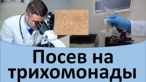 Посев на трихомонады