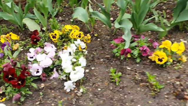 ИВРИТ С НУЛЯ С ГАЛЕЙ...МЫ ПОШЛИ НА ВТОРУЮ СОТНЮ!!!Попробуйте понять всё,что я рассказала! смотреть онлайн