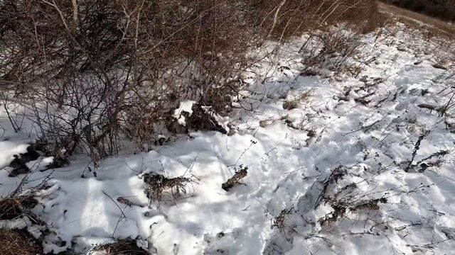 Заяц загоном Какие  Ошибки и Успех смотреть онлайн