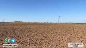 ПОДГОТОВКА ЗЕМЛИ ДЛЯ ОСЕННЕЙ ПОСАДКИ КЛУБНИКИ