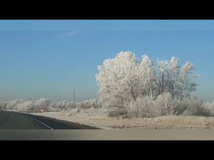 ЕЩЕ  НЕМНОГО , И МЫ У ЦЕЛИ ! ( 11 день )