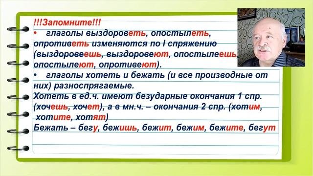 Задание 12 ЕГЭ по руссокму