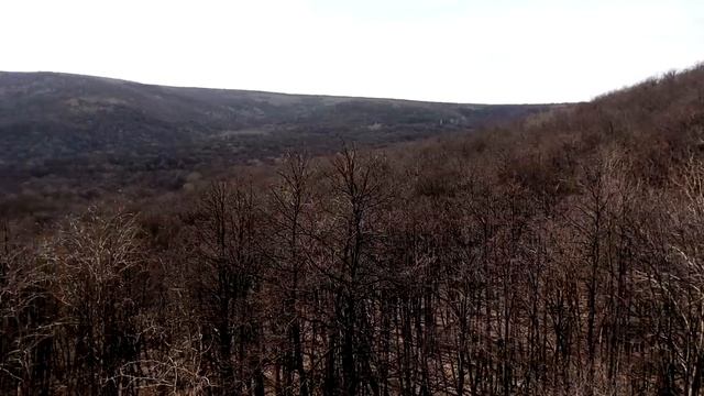 ИЗУЧАЕМ САМАРСКИЙ КРАЙ , ГАВРИЛОВА ПОЛЯНА смотреть онлайн