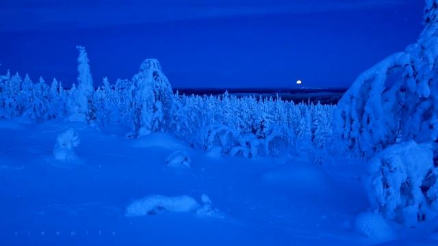 Beautiful Winter Scenery & Relaxing Music | Stress Relief, Sleep, Meditation, Relaxation #53