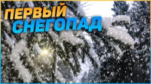 Видеоминутка «Первый снегопад»