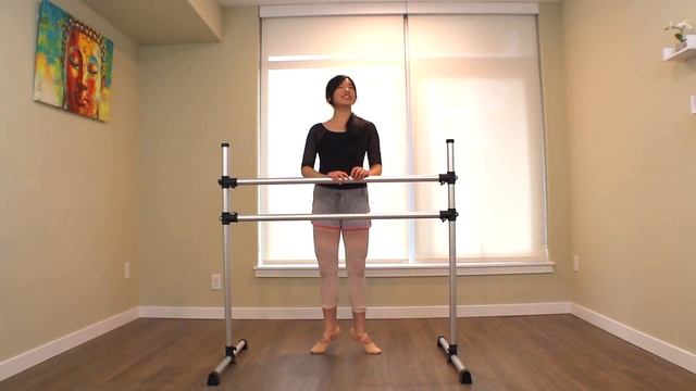 Absolute Beginner Ballet Class 1  Online Ballet Lesson