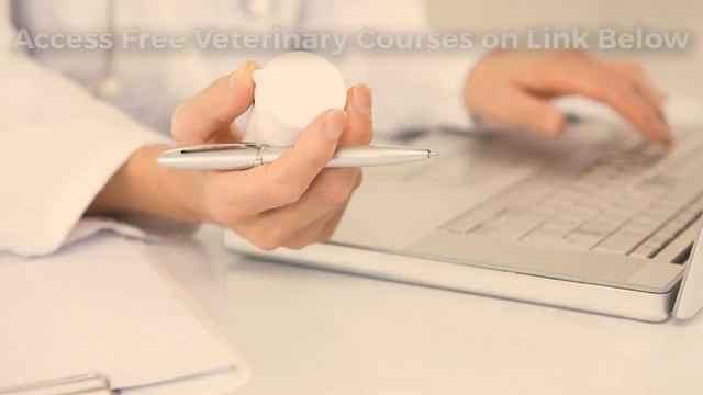 Free RACE approved veterinary CE смотреть онлайн