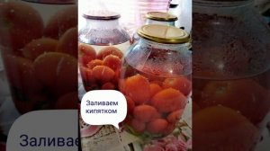 "Компот" из помидор, для любителей рассола)) #закатка#закатканазиму#помидоры#рецепт#зима